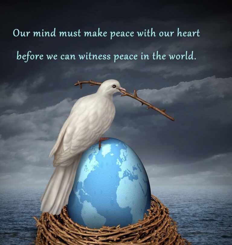 Search for Peace