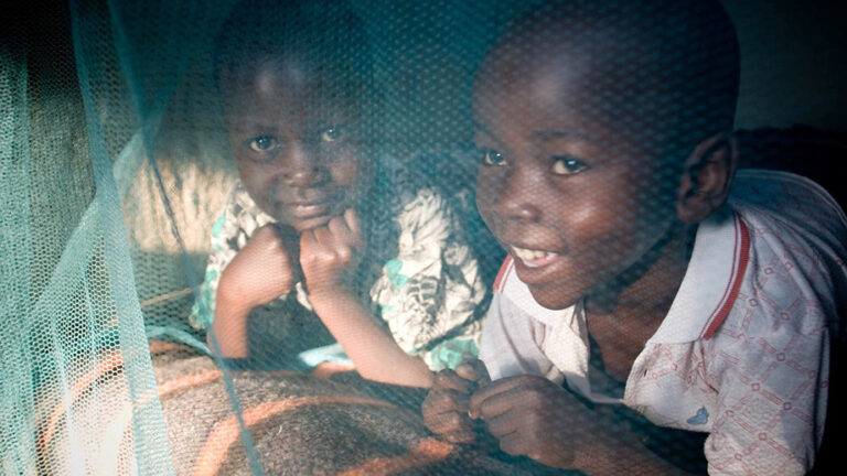 Tomorrow Today: World celebrates Malaria Day on April 25